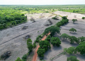 Região Norte do Piauí tem 36 alertas de desmatamento