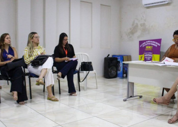 Debate sobre a segurança da mulheres é realizado por entidades do Piauí