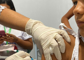 Piauí recebe mais de 100 mil doses da vacina contra a gripe
