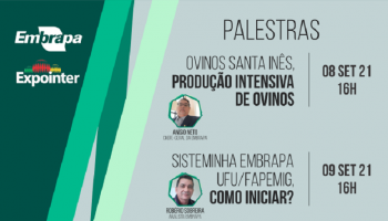 Embrapa Meio-Norte estreia na 44ª Expointer com palestras sobre Ovinos e o Sisteminha