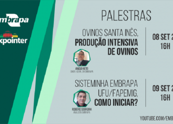 Embrapa Meio-Norte estreia na 44ª Expointer com palestras sobre Ovinos e o Sisteminha