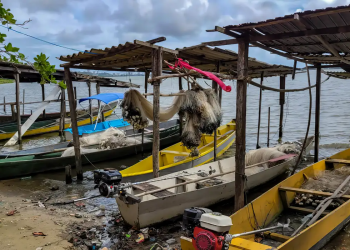 Desastre ambiental da Braskem em Maceió atinge pescadores