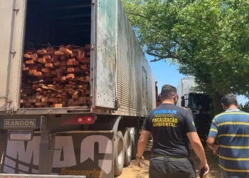 Piauí registra apreensão histórica de madeira ilegal durante operação ambiental em Picos