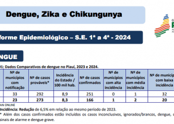 Registrados 166 casos de dengue no Piauí no primeiro mês de 2024