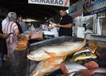 Com início da Quaresma, venda de pescado aumenta 40% no Mercado do Peixe