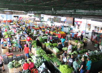 Nova Ceasa recebe consumidores a procura de hortifruti de época