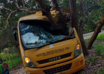Ônibus escolar colide com árvore e deixa crianças feridas no PI