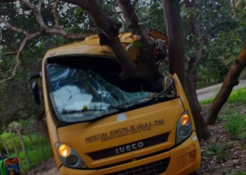Ônibus escolar colide com árvore e deixa crianças feridas no PI