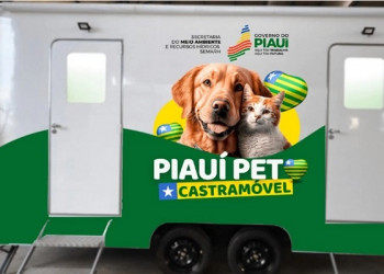 Piauí terá projeto pioneiro de castração gratuita de animais domésticos