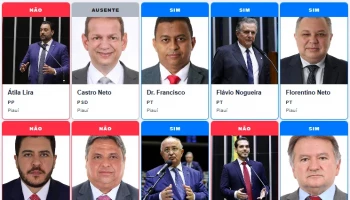 Quatro deputados do Piauí votaram contra proposta de gratuidade de bagagem em voos