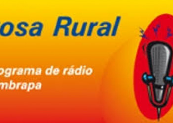 Alimentos com babaçu são tema do Prosa Rural, programa de rádio da Embrapa