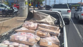 Presos funcionários suspeitos de furtar 405 quilos de frango de empresa em Teresina