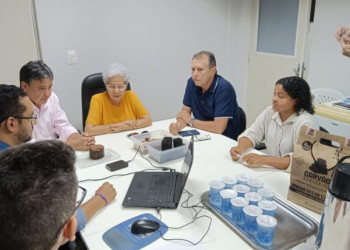 Wellington Dias e gestores da SASC debatem reaproveitamento sustentável do babaçu