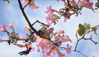 A Foto do Piauí Hoje