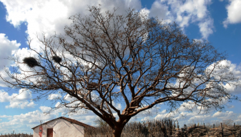 A Foto do Piauí Hoje