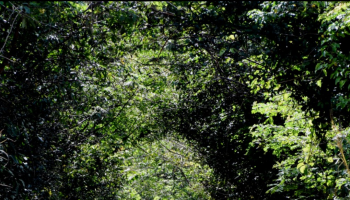 A Foto do Piauí Hoje