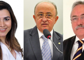 Bolsonaristas piauienses aprovam projeto do governo que autoriza banco tomar casa de pobre