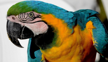 A Foto do Piauí Hoje