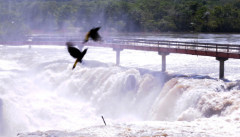 A Foto do Piauí Hoje