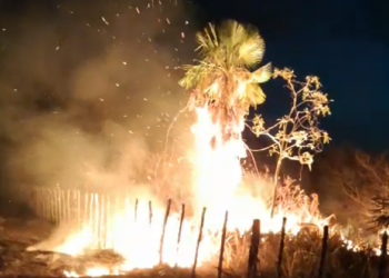 Incêndio atinge o Parque da Serra de Santo Antônio, em Campo Maior; veja o vídeo