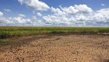 Governo Federal reconhece emergência por seca em municípios do Piauí; veja lista