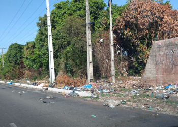 Lixo espalhado na avenida Nicanor Barreto revela o abandono e incomoda moradores