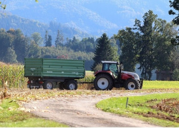 Safra de verão: Volume de grãos no Paraná pode ficar quase 10% acima da produção passada