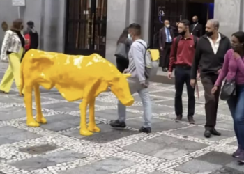Escultura de vaca magra é instalada em frente à Bolsa de Valores de SP e simboliza a fome