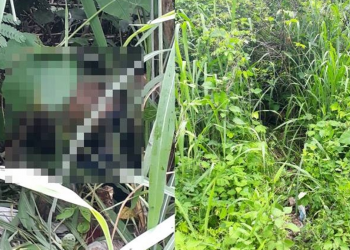 Corpo de homem é encontrado por moradores em matagal na zona Sudeste de Teresina