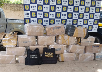 Polícia apreende caminhão com 650 kg de maconha avaliada em mais de R$ 1,4 milhão no Piauí