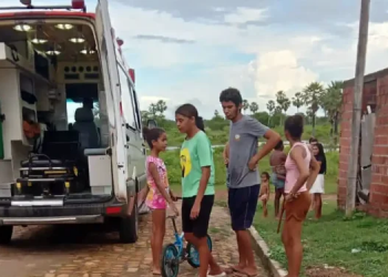 Mulher tenta salvar cachorro e morre afogada em Campo Maior