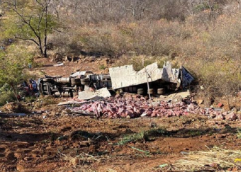 Caminhão que transportava carne tomba e moradores saqueiam carga em Picos