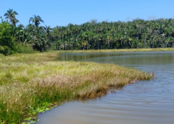 Adolescente de 13 anos tenta salvar amigo e morre afogado em lagoa no Piauí