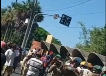 Carroceiros bloqueiam avenida Maranhão em protesto contra apreensão de cavalos