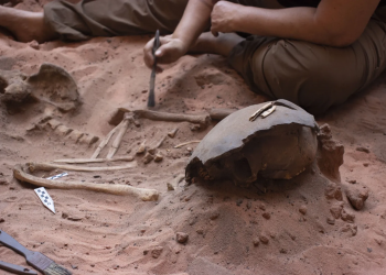 Escavações em Guaribas indicam existência de 'templo' indígena
