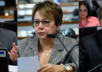 Como votaram os senadores do Piauí na lei do marco temporal de terras indígenas