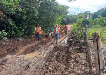 Chuvas causam prejuízos a mais de 300 agricultores e criadores em Currais
