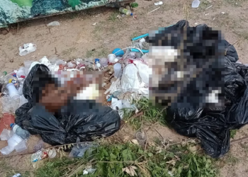 Interditada clínica que descartou 20 corpos de animais em calçada em Parnaíba