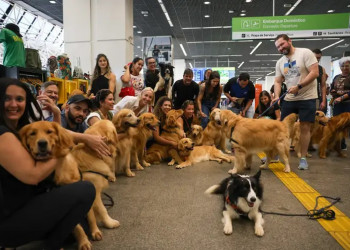 Morte do cão Joca leva tutores a protestarem no aeroporto de Brasília