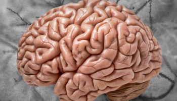 Coragem, Decisão e o Caminho para o Sucesso: Reflexões de um Neurocientista