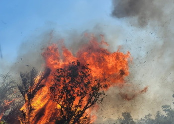Incêndio no Parque Serra Santo Antônio já dura dois dias em Campo Maior