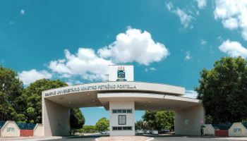 Escolhas no campus