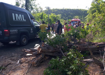 Árvore cai e mata motociclista na zona Rural de Teresina