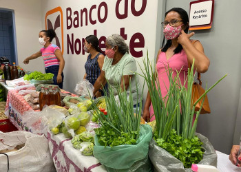 Programa visa projetar Piauí como produtor de verduras e competir com Ceará e Pernambuco