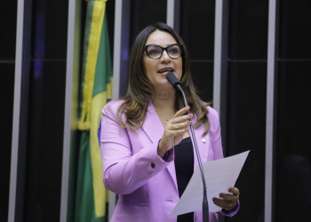 Deputada ​Rejane Dias destina R$ 1 milhão para o CEIR