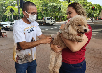 Piauí distribui 900 mil doses de vacina antirrábica animal
