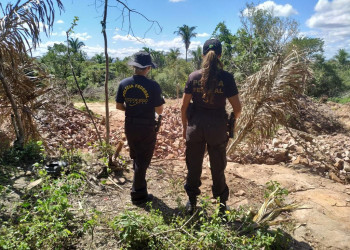 Operação resgata 24 trabalhadores em condições análogas à escravidão no Piauí
