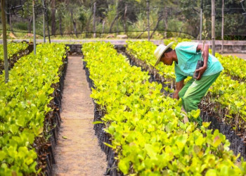Microempreendedores rurais serão agraciados com Prêmios BNB da Agricultura Familiar