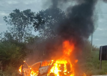 Motorista sai ileso de carro que incendiou na BR 343, em Piripiri