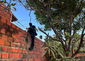 Polícia do Piauí faz grande operação contra tráfico e homicídios